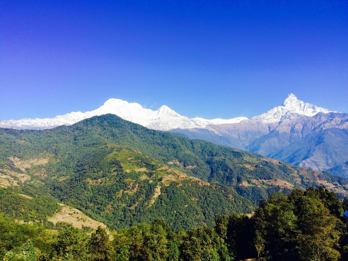 Aroma Tourist Hostel Pokhara Exterior photo