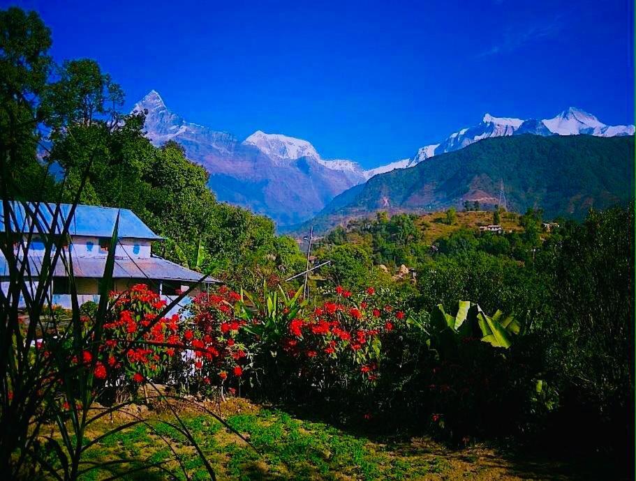 Aroma Tourist Hostel Pokhara Exterior photo