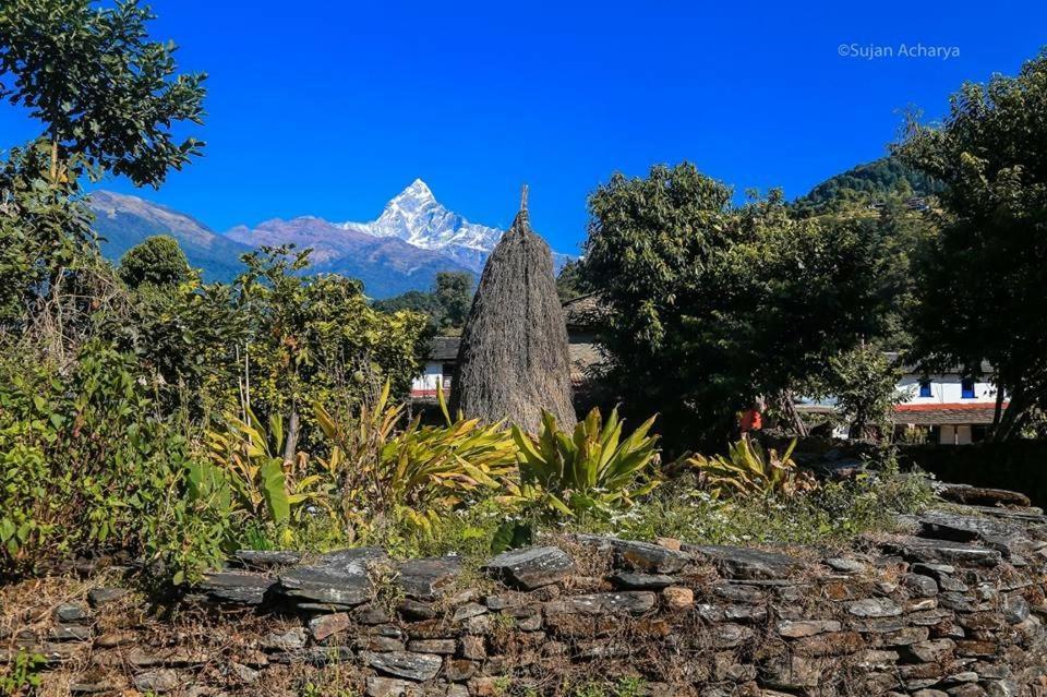 Aroma Tourist Hostel Pokhara Exterior photo